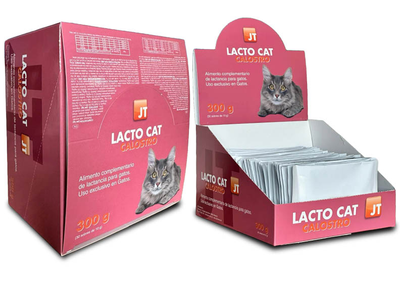 lacto cat