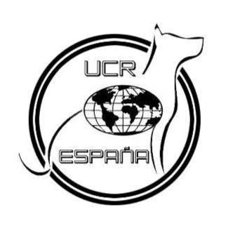 unidad canina rescate España ucr.esp unidad canina rescate España ucr.esp