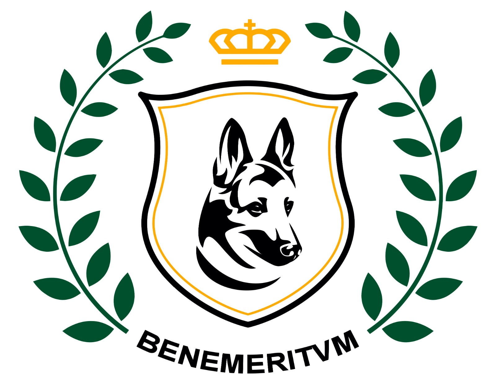 Imagen de WhatsApp 2023-11-29 a las 10.55.55_e22ad55c Logo Benemeritum