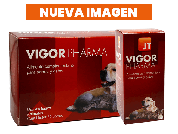 vigor pharma