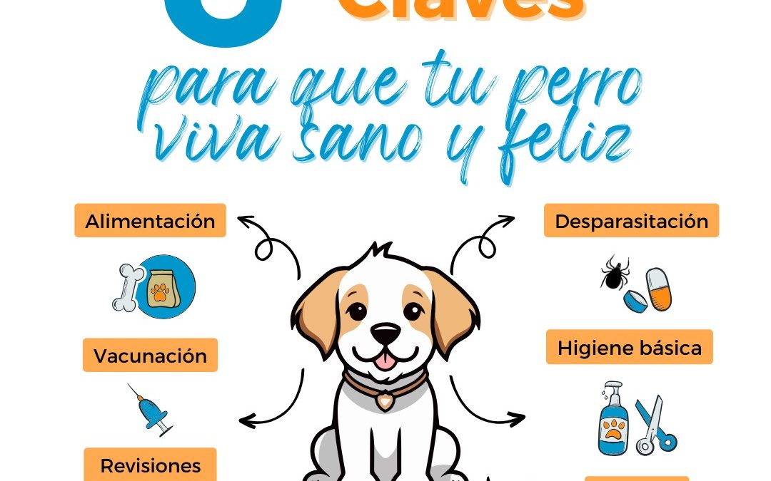 6 Claves para que tu perro viva sano y feliz