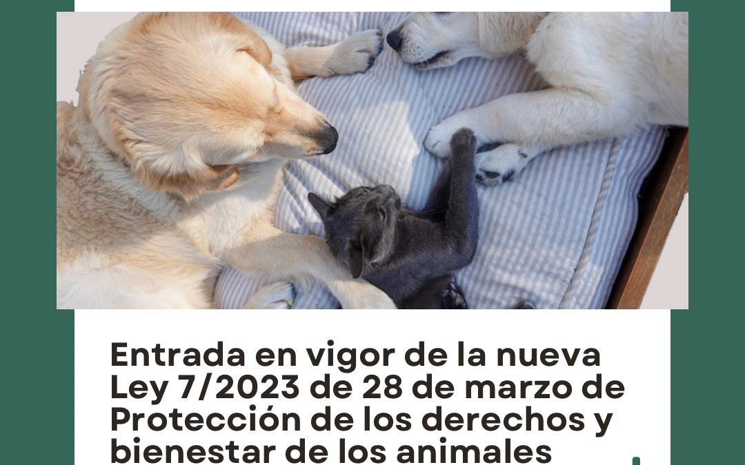 LEY DE PROTECCIÓN DE LOS DERECHOS Y BIENESTAR DE LOS ANIMALES