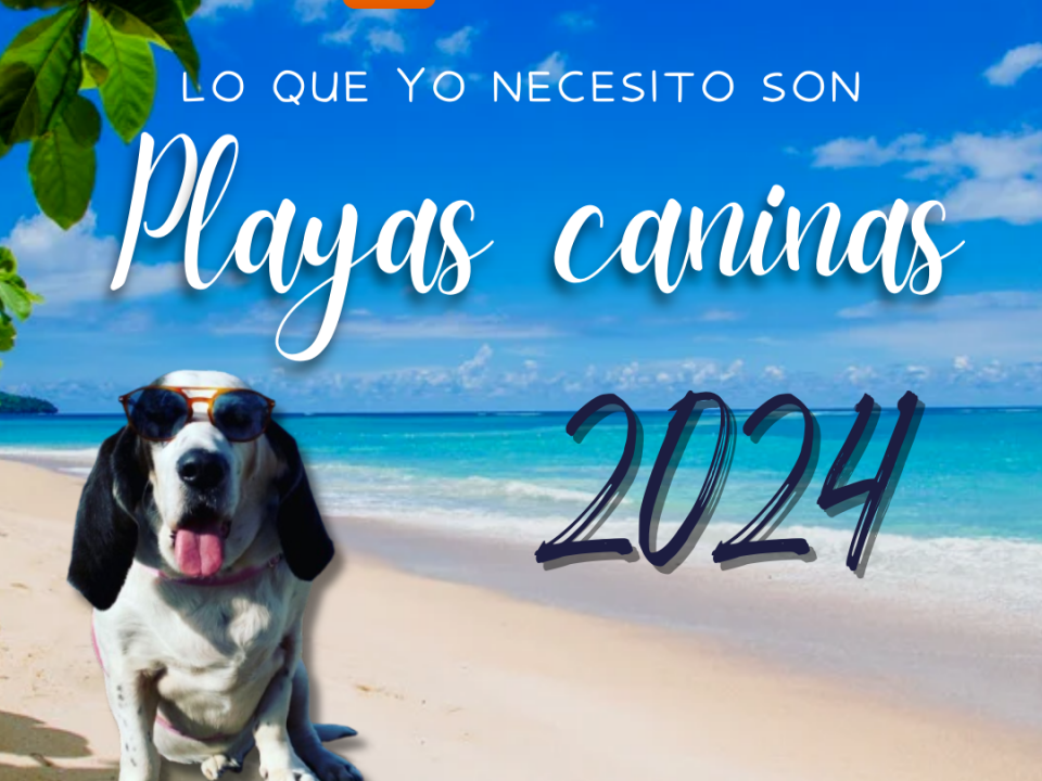 Playas caninas 2024